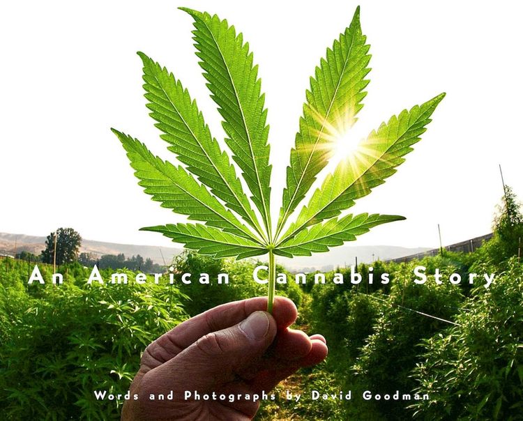 Produktbild: An American Cannabis Story