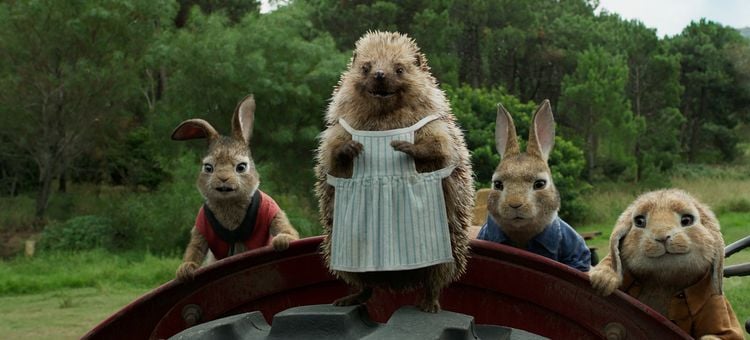Produktbild: Peter Hase