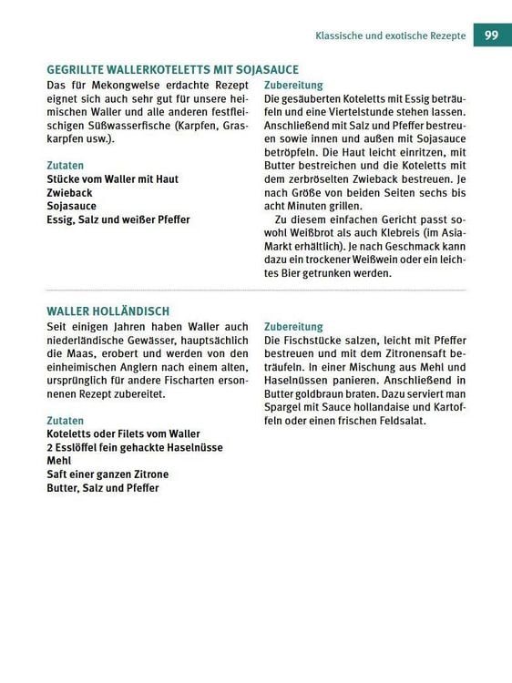 Produktbild: Welse - Giganten unserer Gew&auml;sser