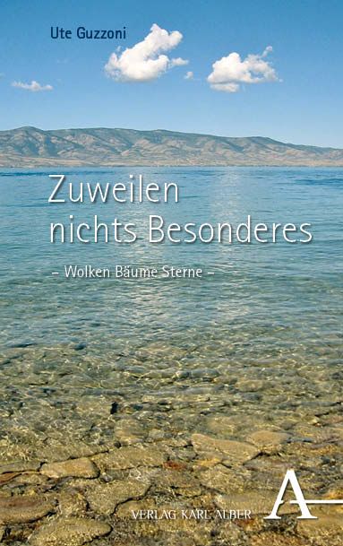 Produktbild: Zuweilen nichts Besonderes