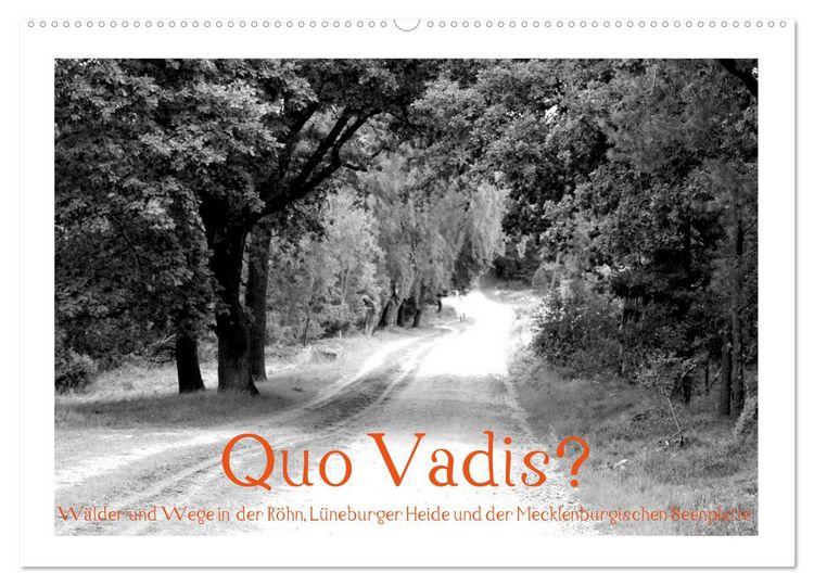 Produktbild: Quo Vadis? W&auml;lder und Wege in der R&ouml;hn, L&uuml;neburger Heide und der Mecklenburgischen Seenplatte (Wandkalender 2026 DIN A2 quer), CALVENDO Monatskalender