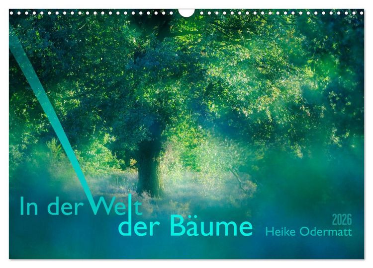 Produktbild: In der Welt der B&auml;ume (Wandkalender 2026 DIN A3 quer), CALVENDO Monatskalender