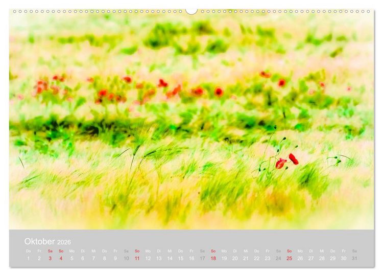 Produktbild: Zauber des Mohns (hochwertiger Premium Wandkalender 2026 DIN A2 quer), Kunstdruck in Hochglanz