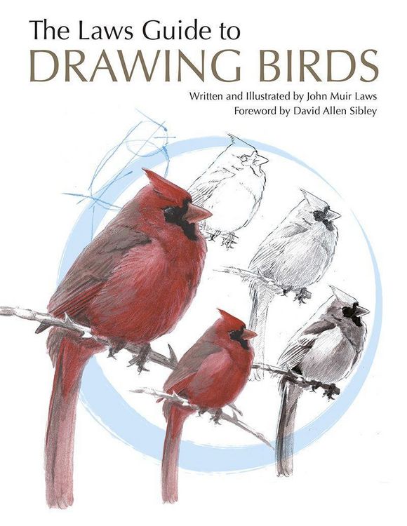 Produktbild: The Laws Guide to Drawing Birds