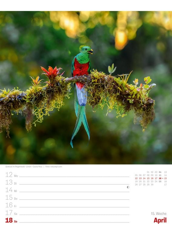 Produktbild: Planet Erde Wochenplaner Kalender 2027 | Landschaften der Welt