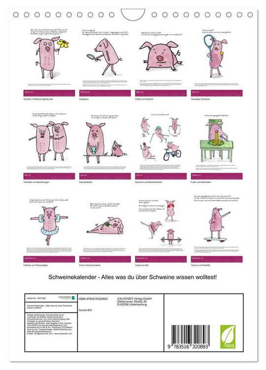 Produktbild: Schweinekalender - Alles was du &uuml;ber Schweine wissen wolltest! (Wandkalender 2026 DIN A4 hoch), CALVENDO Monatskalender