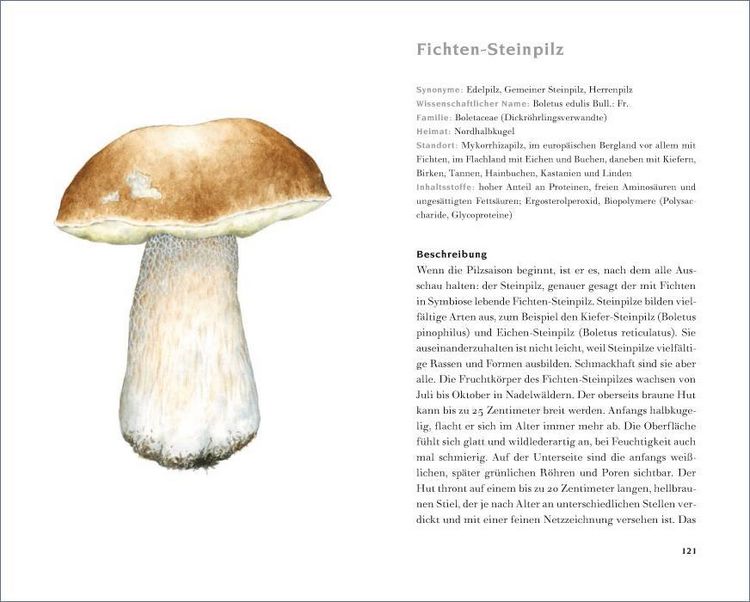 Produktbild: Das kleine Pilzbuch