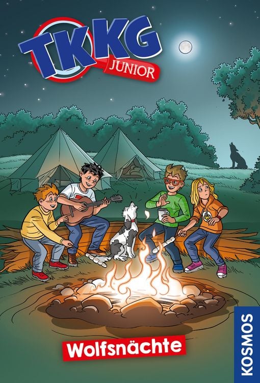 Produktbild: TKKG Junior, 13, Wolfsnächte