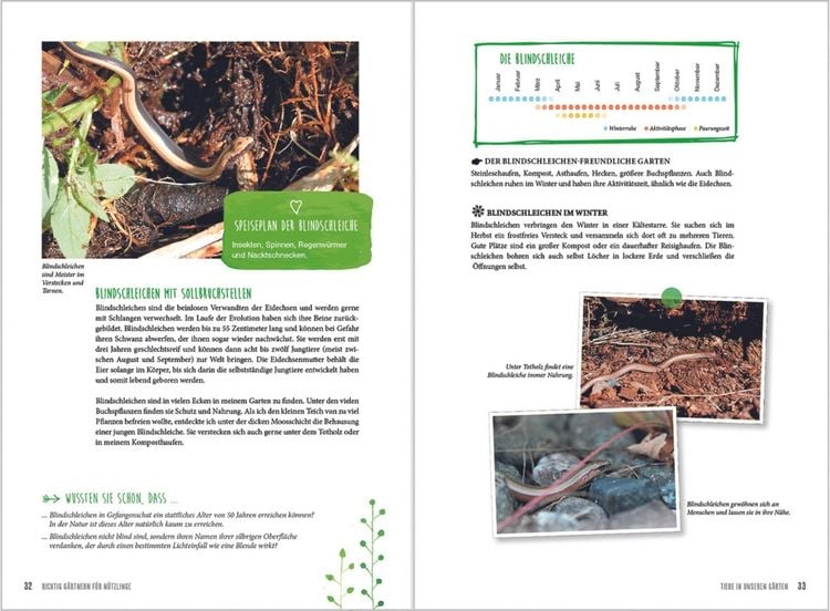 Produktbild: MDR Garten - Richtig g&auml;rtnern f&uuml;r N&uuml;tzlinge