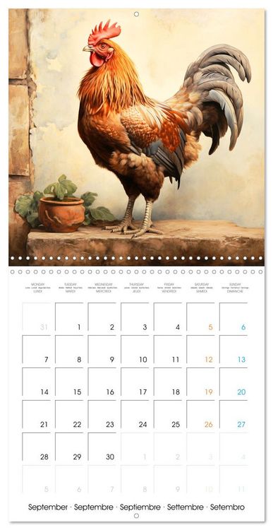 Produktbild: Coqs de nos campagnes (Calendrier mural carr&eacute; 2026 30x30 cm) Calendrier double avec une page pour vos prises de notes