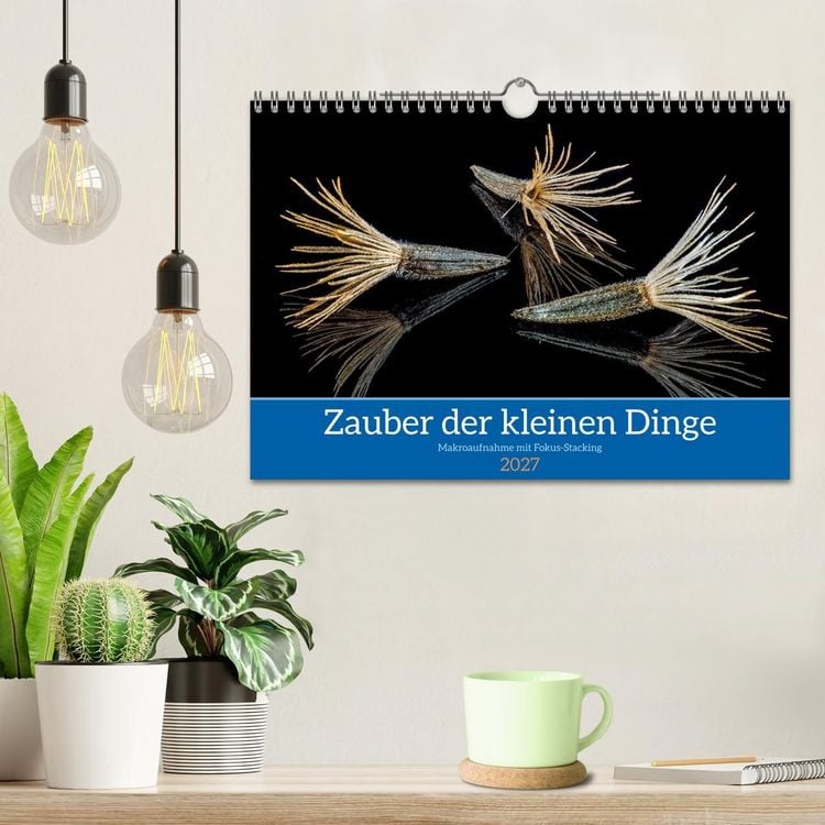 Produktbild: Zauber der kleinen Dinge (Wandkalender 2027 DIN A4 quer), CALVENDO Monatskalender