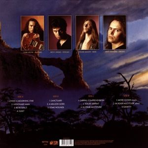 Produktbild: In Your Multitude (Remastered)
