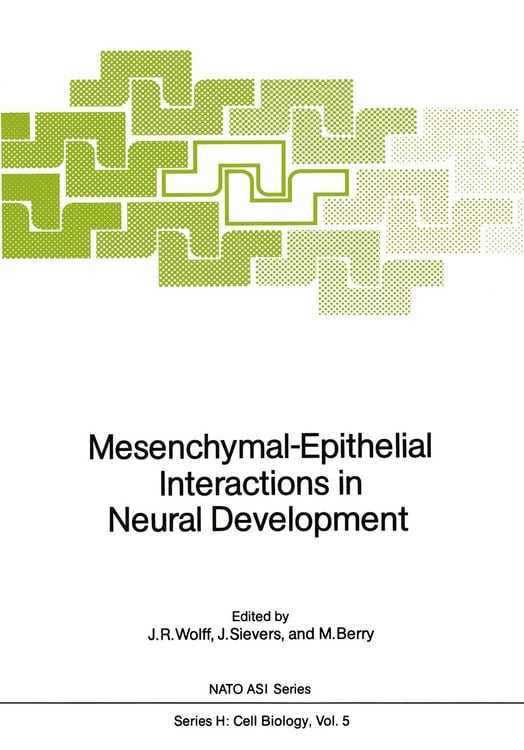 Produktbild: Mesenchymal-Epithelial Interactions in Neural Development