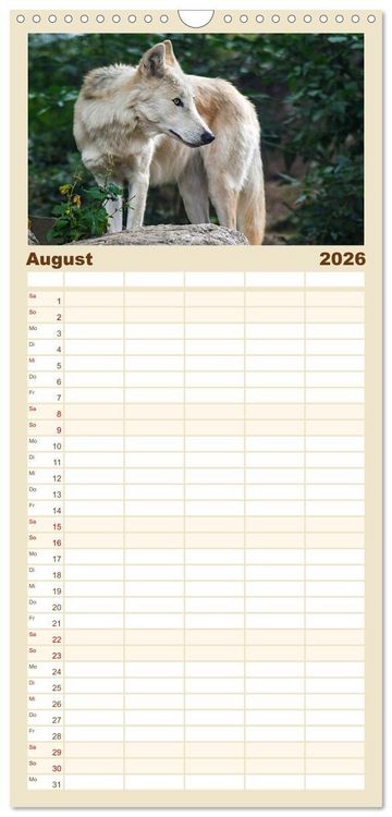 Produktbild: Familienplaner 2026 - Begegnung mit dem Wolf mit 5 Spalten (Wandkalender, 21 x 45 cm) CALVENDO