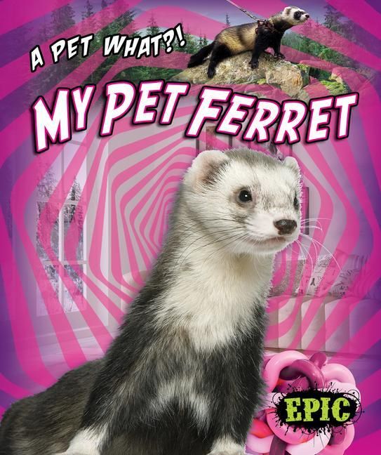 Produktbild: My Pet Ferret