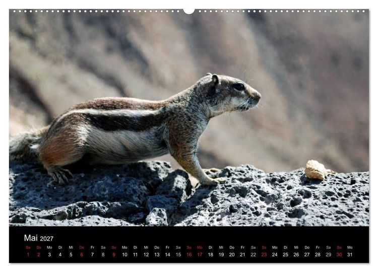Produktbild: Fuerteventura (hochwertiger Premium Wandkalender 2027 DIN A2 quer), Kunstdruck in Hochglanz
