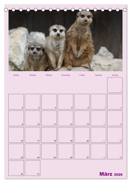 Produktbild: Erdm&auml;nnchen / Terminplaner (Tischkalender 2026 DIN A5 hoch), CALVENDO Monatskalender