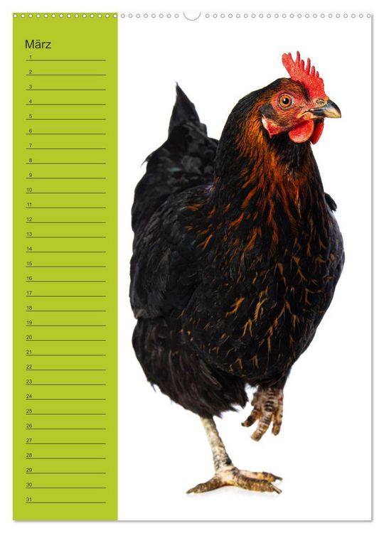 Produktbild: Kunterbunte H&uuml;hner Truppe (hochwertiger Premium Wandkalender 2026 DIN A2 hoch), Kunstdruck in Hochglanz