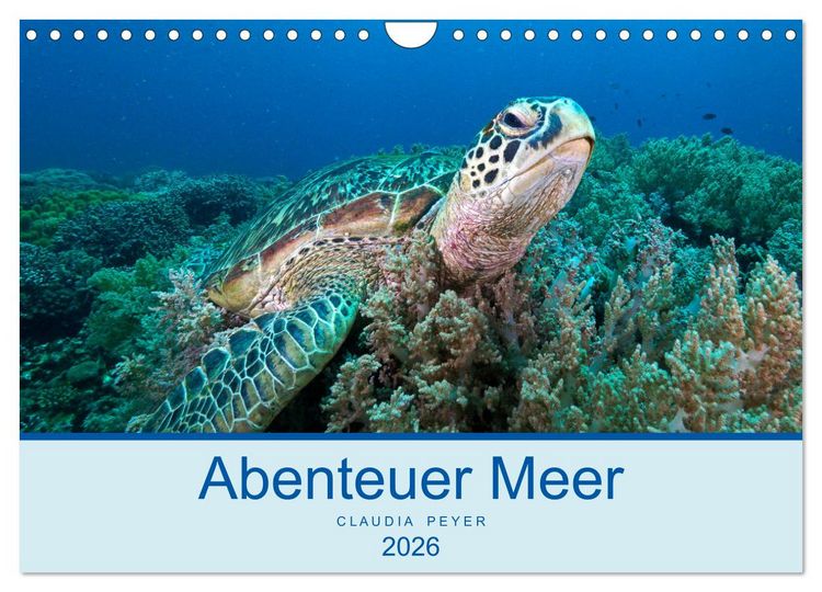 Produktbild: Abenteuer Unterwasser (Wandkalender 2026 DIN A4 quer), CALVENDO Monatskalender