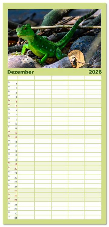 Produktbild: Familienplaner 2026 - Costa Rica - Naturparadies zwischen Karibik und Pazifik mit 5 Spalten (Wandkalender, 21 x 45 cm) CALVENDO