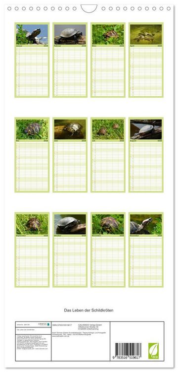 Produktbild: Familienplaner 2026 - Das Leben der Schildkr&ouml;ten mit 5 Spalten (Wandkalender, 21 x 45 cm) CALVENDO