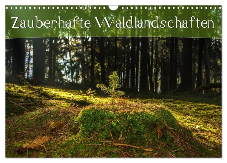 Produktbild: Zauberhafte Waldlandschaften (Wandkalender 2026 DIN A3 quer), CALVENDO Monatskalender