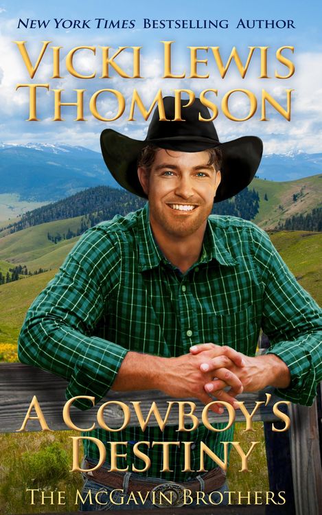 Produktbild: A Cowboy's Destiny (The McGavin Brothers, #15)