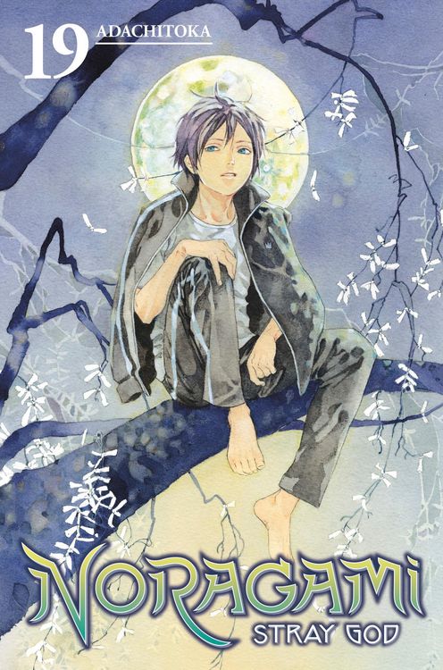 Produktbild: Noragami: Stray God 19
