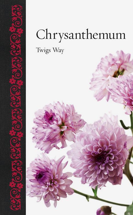 Produktbild: Chrysanthemum