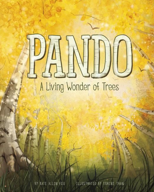 Produktbild: Pando