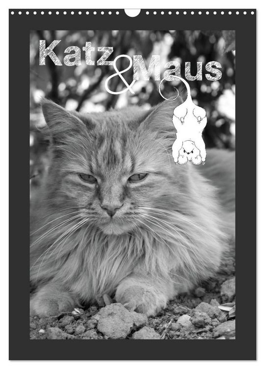 Produktbild: Katz & Maus (Wandkalender 2026 DIN A3 hoch), CALVENDO Monatskalender