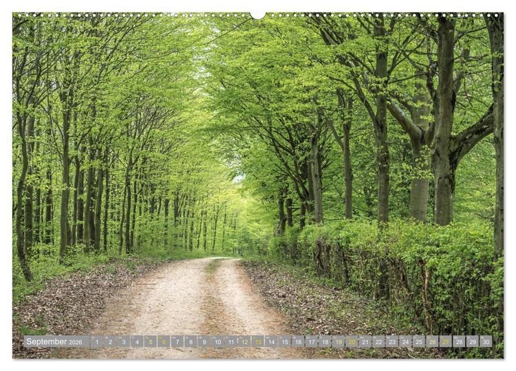 Produktbild: Wanderwege in Europa (Wandkalender 2026 DIN A2 quer), CALVENDO Monatskalender