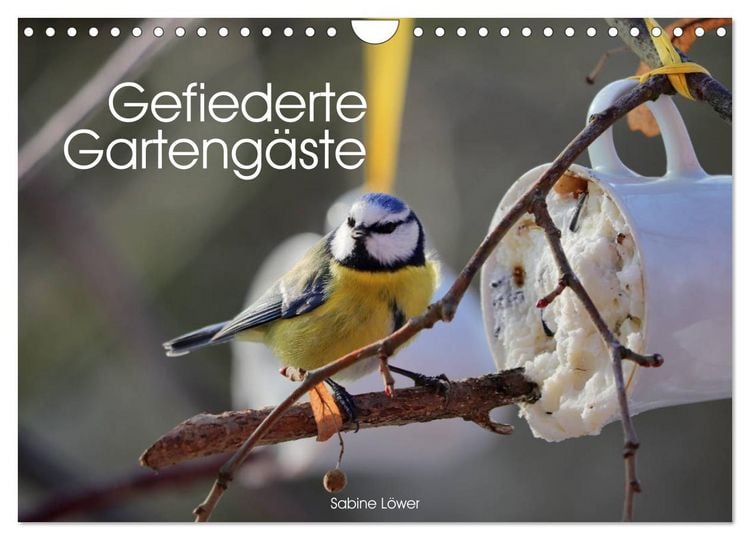 Produktbild: Gefiederte Garteng&auml;ste (Wandkalender 2026 DIN A4 quer), CALVENDO Monatskalender