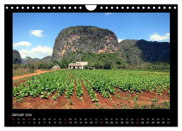 Produktbild: Viva Cuba! (Wandkalender 2026 DIN A4 quer), CALVENDO Monatskalender