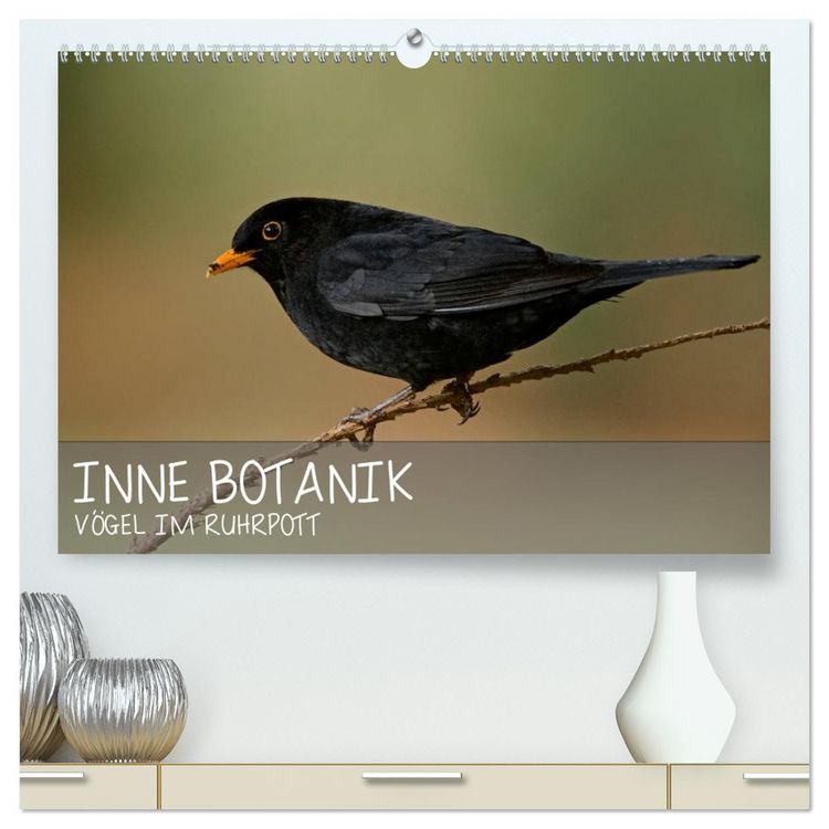 Produktbild: INNE BOTANIK - V&ouml;gel im Ruhrpott (hochwertiger Premium Wandkalender 2026 DIN A2 quer), Kunstdruck in Hochglanz