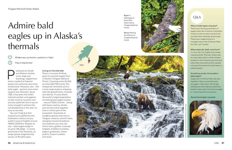 Produktbild: Lonely Planet The Joy of Birdwatching