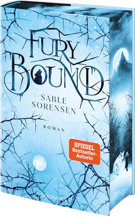 Produktbild: Fury Bound