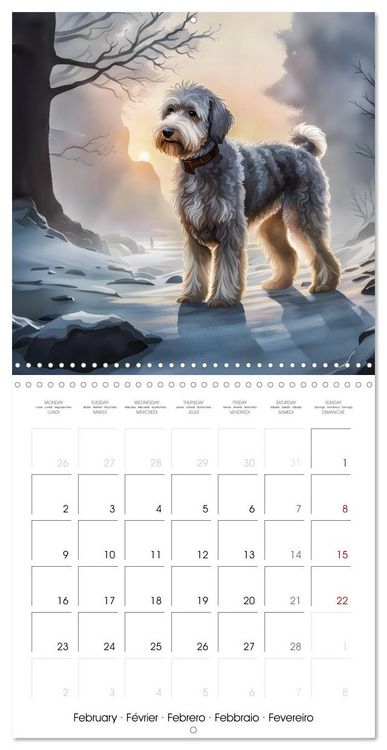 Produktbild: Aussiedoodle - Dogs to love (Wall Calendar 2026 12 &times; 12 Inch) CALVENDO 12 Month Wall Calendar