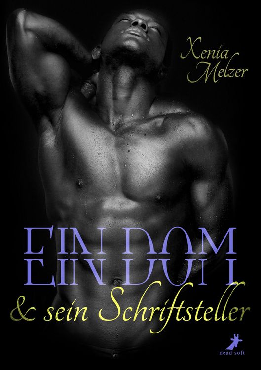Produktbild: Ein Dom und sein Schriftsteller