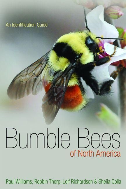 Produktbild: Bumble Bees of North America