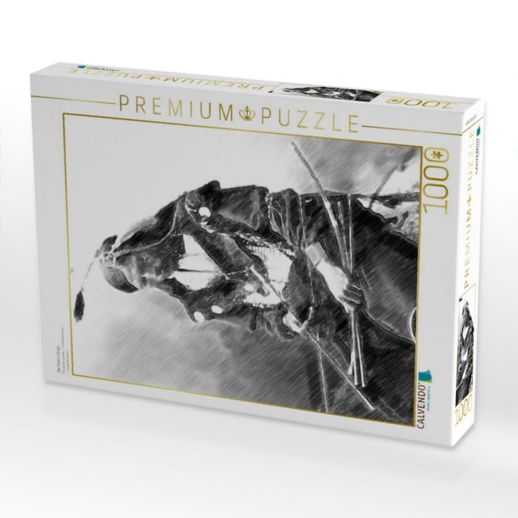 Produktbild: CALVENDO Puzzle Die Sehne klingt.... | 1000 Teile Lege-Gr&ouml;&szlig;e 64x48cm Foto-Puzzle f&uuml;r gl&uuml;ckliche Stunden