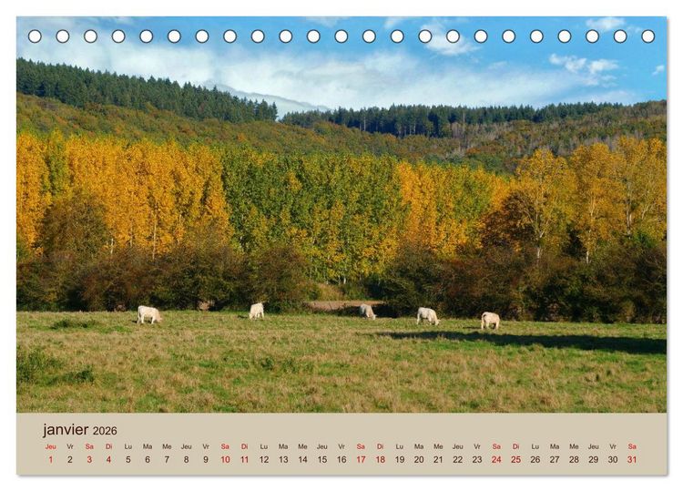 Produktbild: Paysages de l'Yonne (Calendrier de bureau 2026 DIN A5 vertical), CALVENDO calendrier mensuel