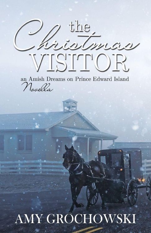 Produktbild: The Christmas Visitor