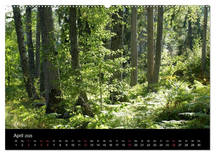 Produktbild: Sommer in Stockholm 2026 (hochwertiger Premium Wandkalender 2026 DIN A2 quer), Kunstdruck in Hochglanz