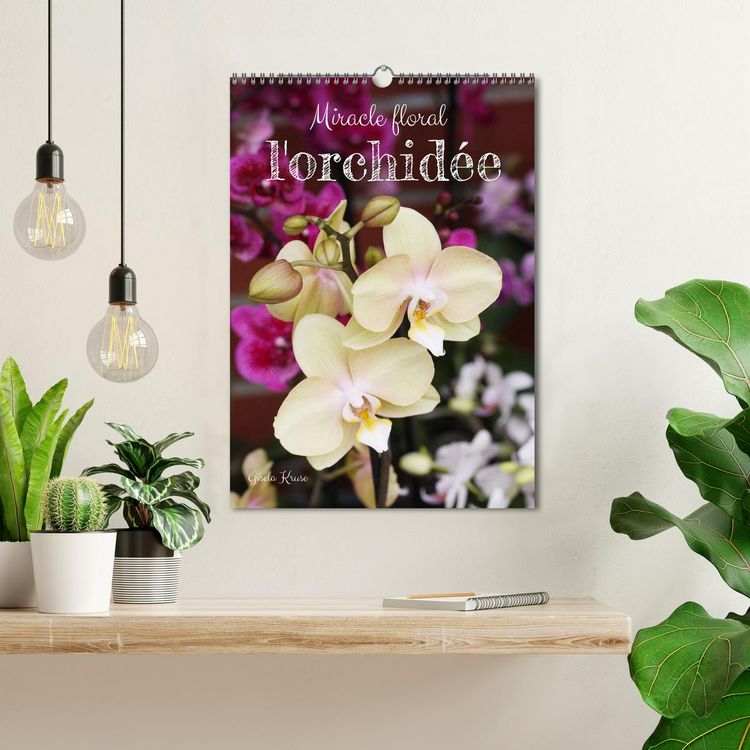 Produktbild: Miracle floral l'orchid&eacute;e (Calendrier mural 2026 DIN A3 horizontal), CALVENDO calendrier mensuel