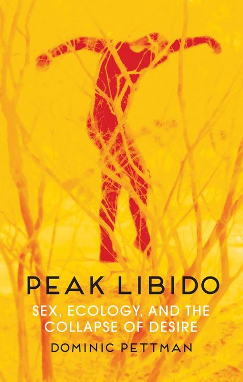 Produktbild: Peak Libido