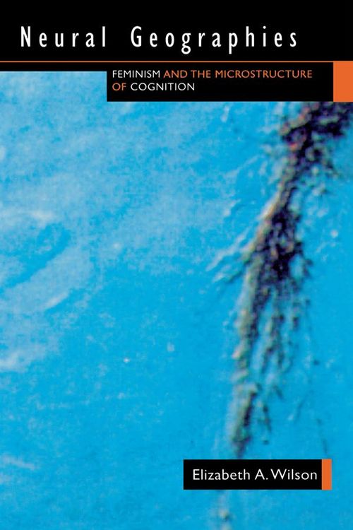 Produktbild: Neural Geographies