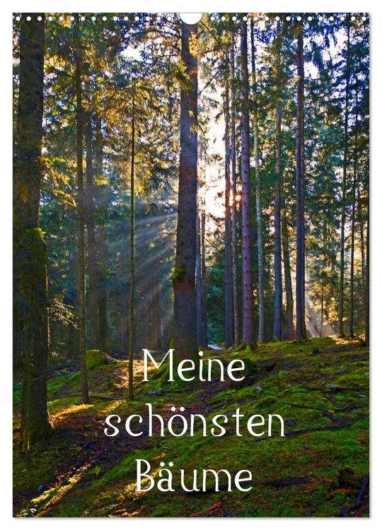Produktbild: Meine sch&ouml;nsten B&auml;ume (Wandkalender 2026 DIN A3 hoch), CALVENDO Monatskalender