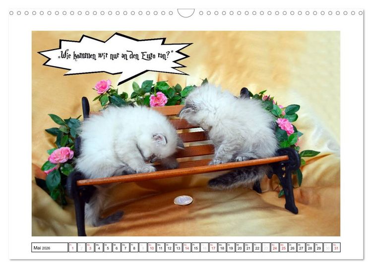 Produktbild: Lustiger Katzenkalender (Wandkalender 2026 DIN A3 quer), CALVENDO Monatskalender