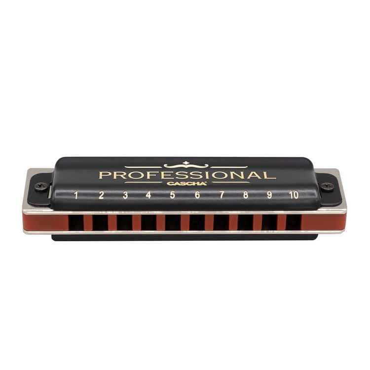 Produktbild: Professional Blues Harmonica in D (incl. case and cleaning cloth)